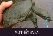 mo-thay-ba-ba