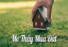 mo-thay-mua-dat