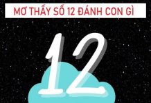 mo-thay-so-12