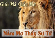 mo-thay-su-tu