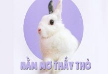 mo-thay-tho