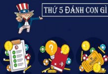 thu-5-danh-con-gi