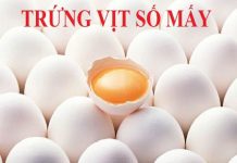 trung-vit-so-may